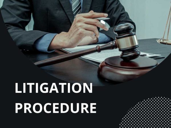 Litigation Procedure